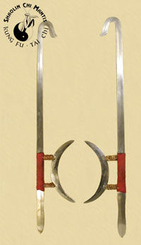 Twin Tiger Hook Swords of BZ