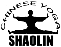 Chinese Yoga of Buddha Zhen